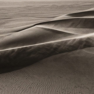 The Edge - Monograph Preview